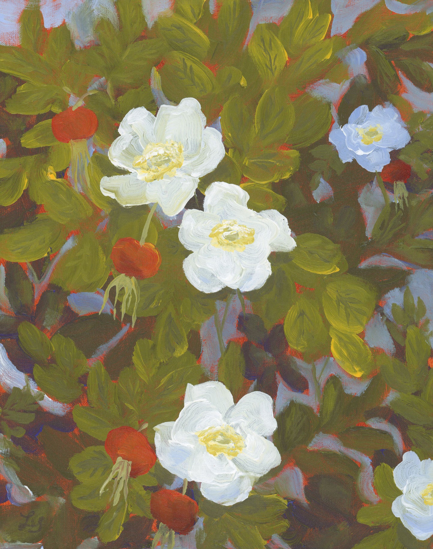 Rose Hips