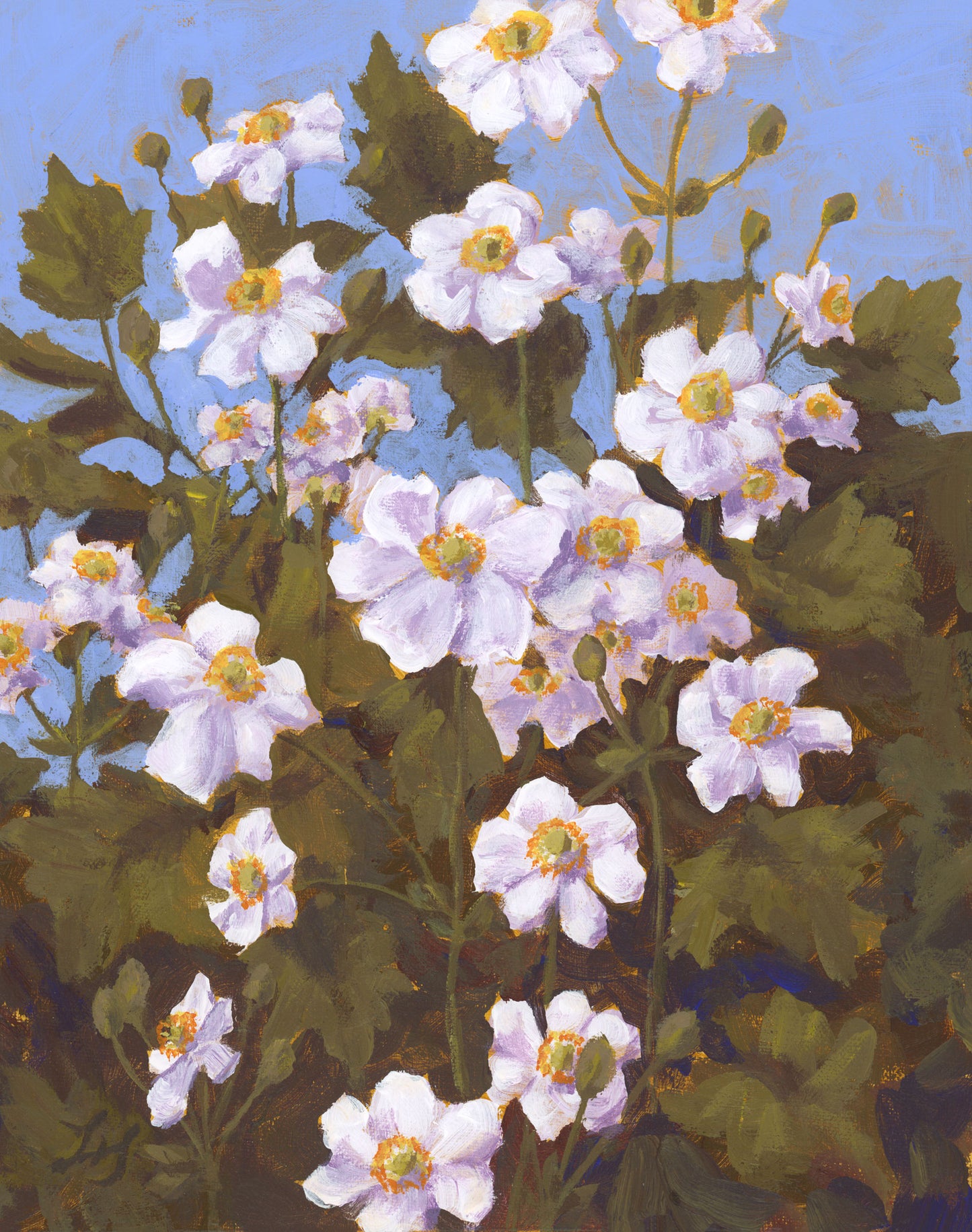 Windflowers