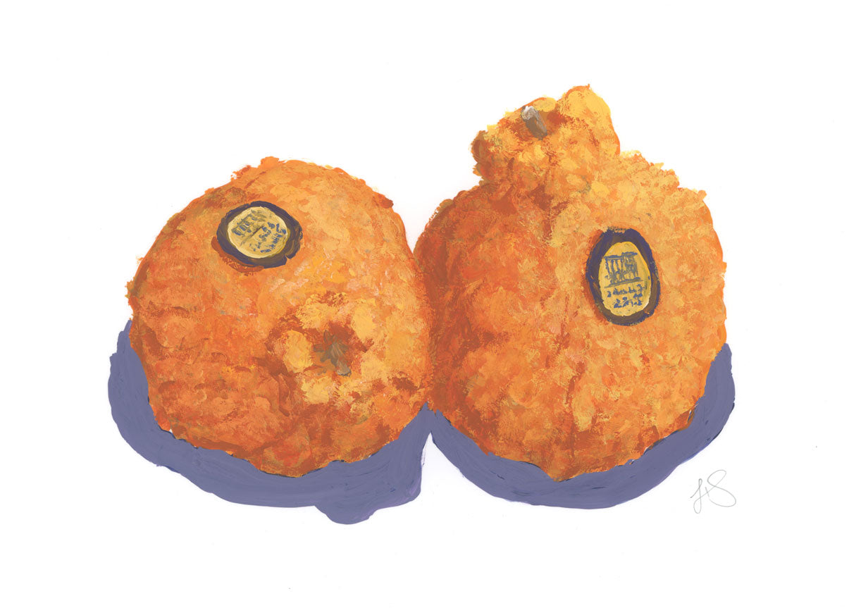 Sumo Oranges I