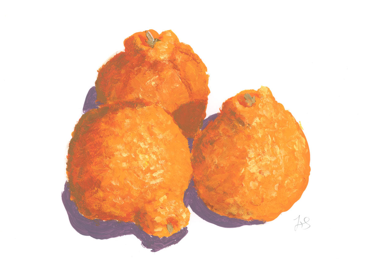 Sumo Oranges II