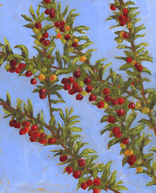 Cherry Branches