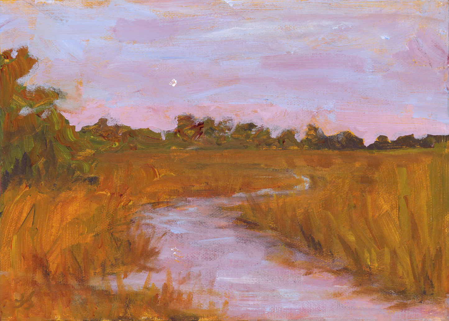 Marsh From the Dock