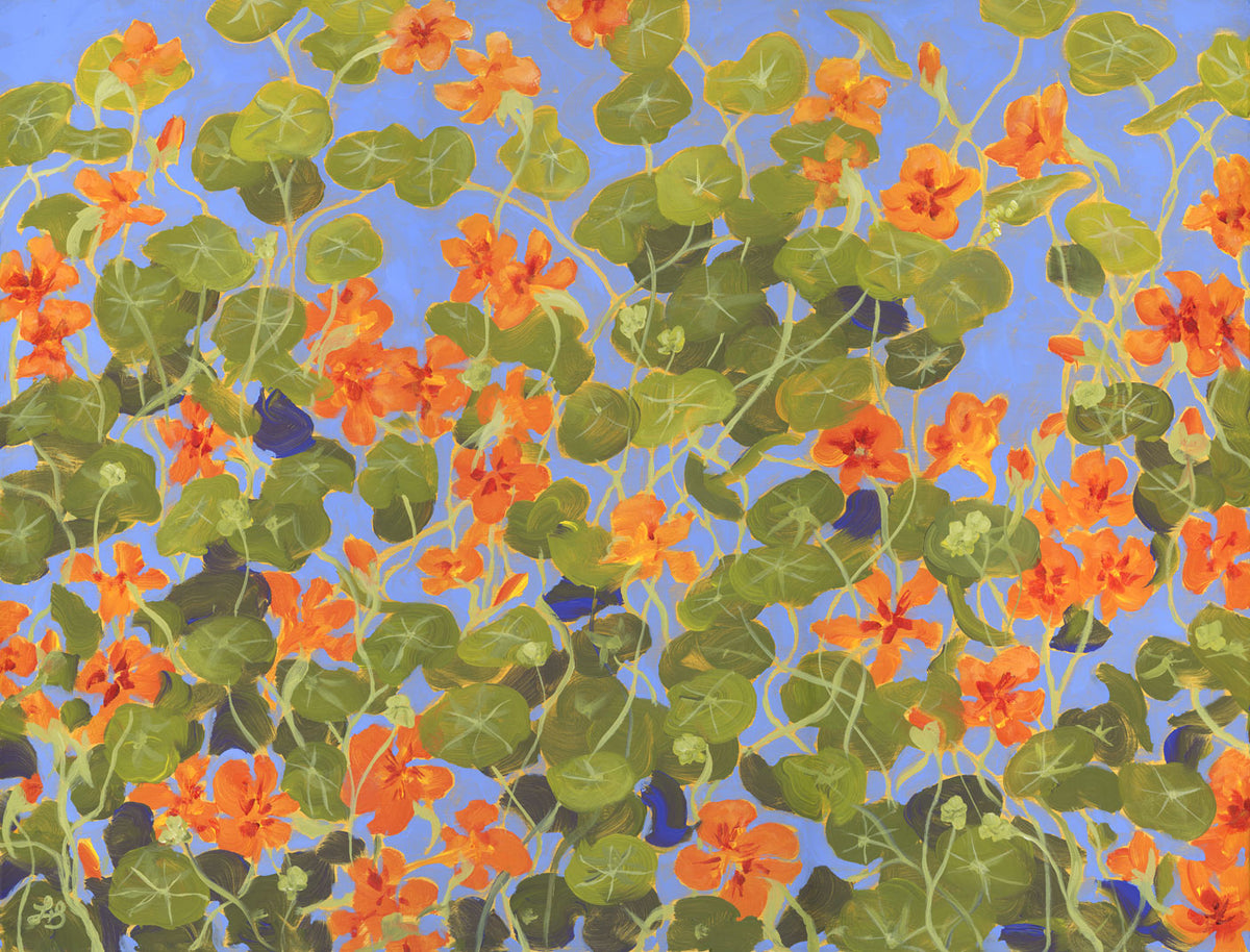 Nasturtiums II