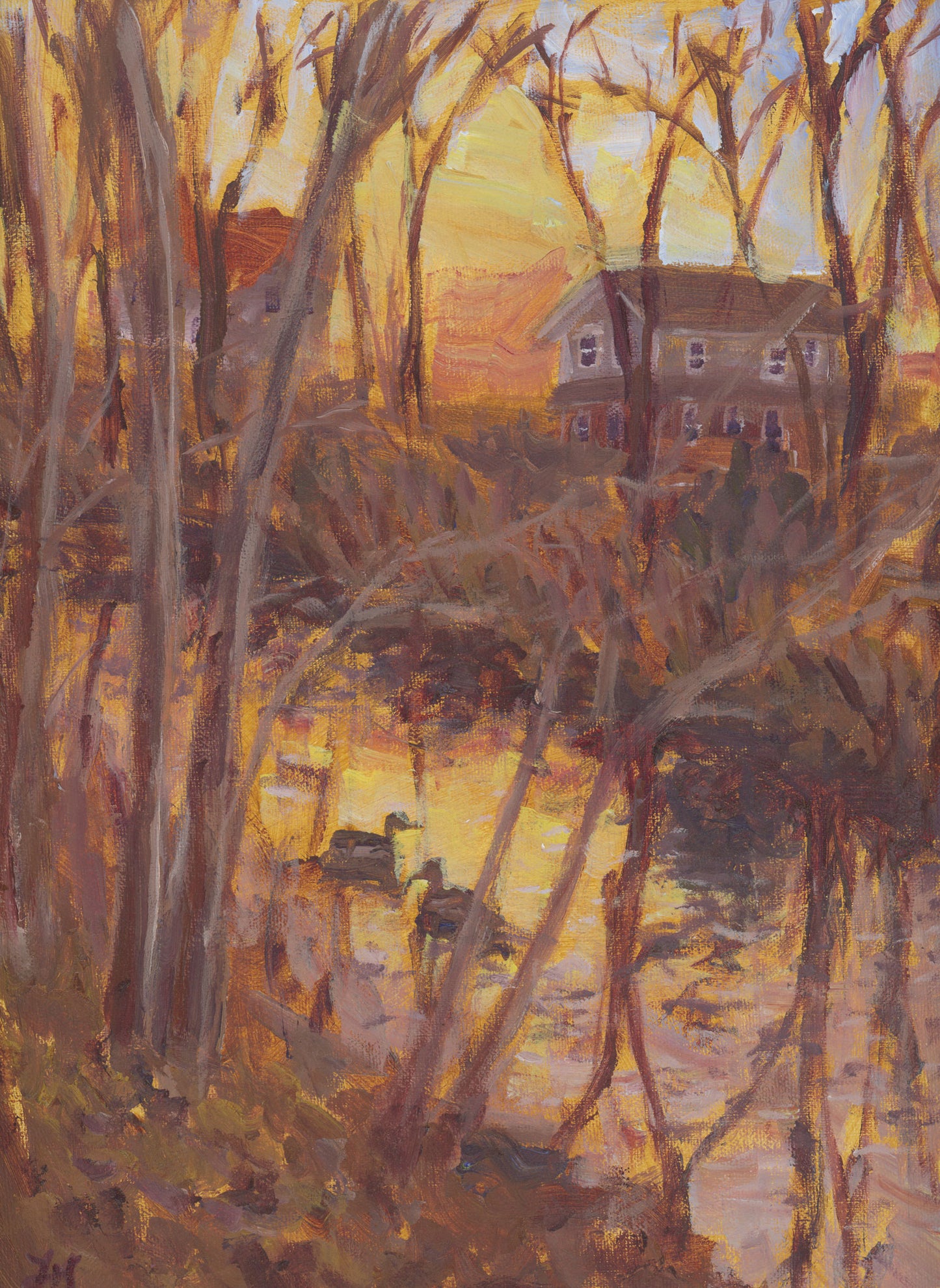 Pine Tree Brook
