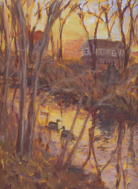Pine Tree Brook